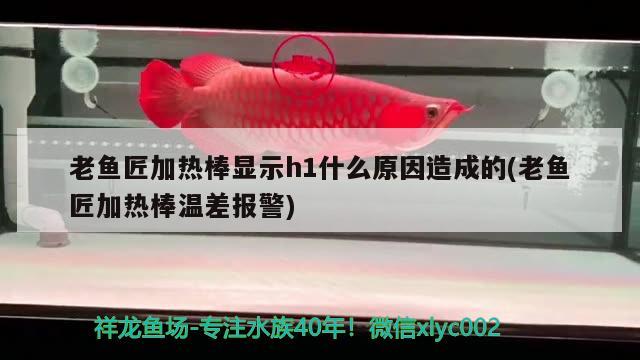 老鱼匠加热棒显示h1什么原因造成的(老鱼匠加热棒温差报警)