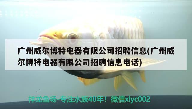 广州威尔博特电器有限公司招聘信息(广州威尔博特电器有限公司招聘信息电话) 博特水族