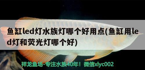 鱼缸led灯水族灯哪个好用点(鱼缸用led灯和荧光灯哪个好)