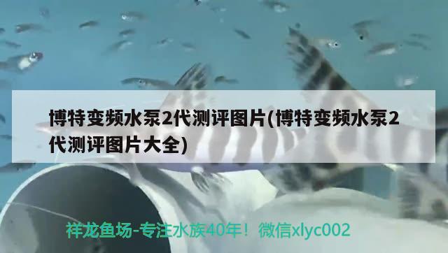 博特变频水泵2代测评图片(博特变频水泵2代测评图片大全)