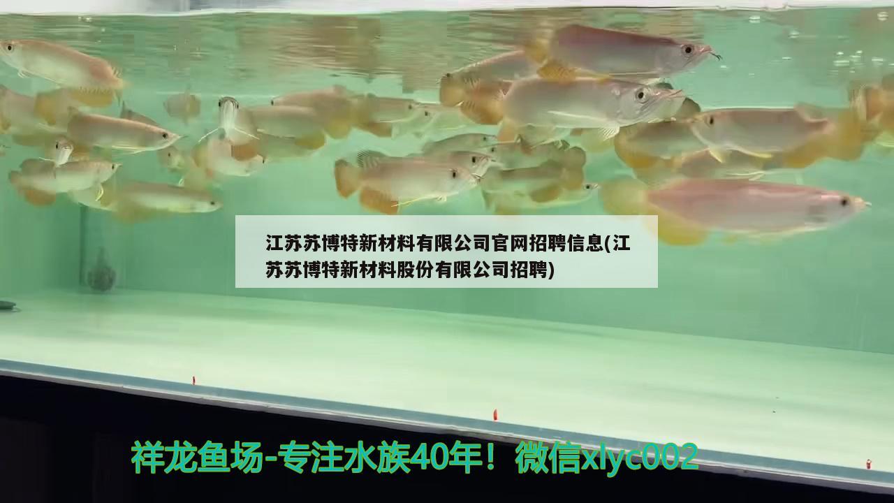 江苏苏博特新材料有限公司官网招聘信息(江苏苏博特新材料股份有限公司招聘) 博特水族