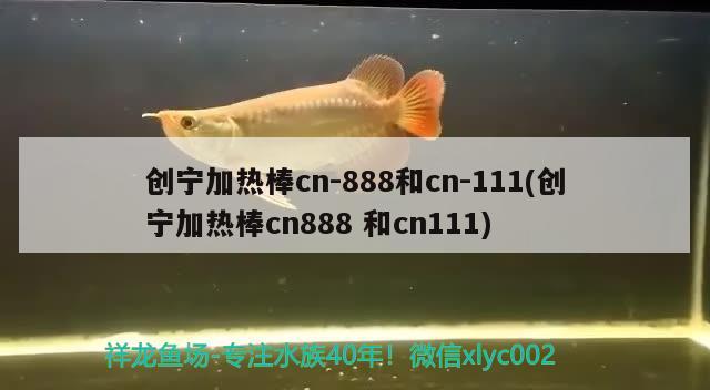 创宁加热棒cn-888和cn-111(创宁加热棒cn888和cn111)