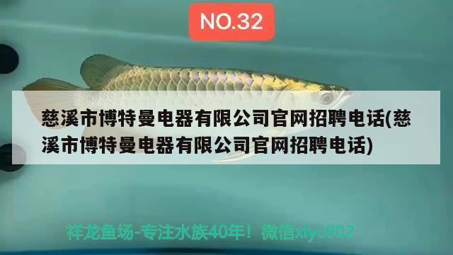 慈溪市博特曼电器有限公司官网招聘电话(慈溪市博特曼电器有限公司官网招聘电话) 博特水族