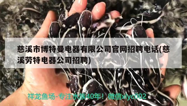 慈溪市博特曼电器有限公司官网招聘电话(慈溪劳特电器公司招聘) 博特水族