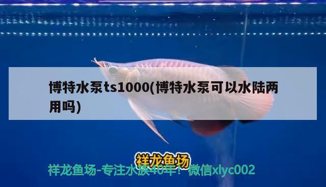 博特水泵ts1000(博特水泵可以水陆两用吗)