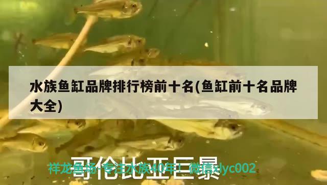 水族鱼缸品牌排行榜前十名(鱼缸前十名品牌大全)