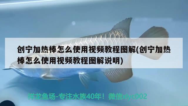 创宁加热棒怎么使用视频教程图解(创宁加热棒怎么使用视频教程图解说明)