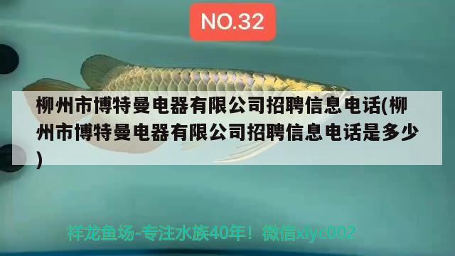 柳州市博特曼电器有限公司招聘信息电话(柳州市博特曼电器有限公司招聘信息电话是多少) 博特水族