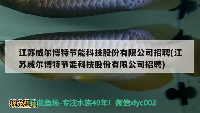 江苏威尔博特节能科技股份有限公司招聘(江苏威尔博特节能科技股份有限公司招聘)