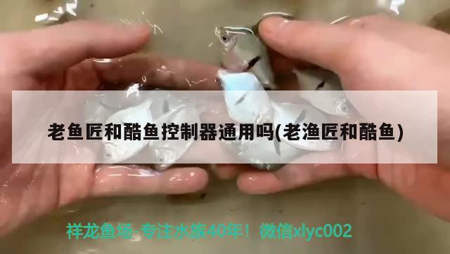 老鱼匠和酷鱼控制器通用吗(老渔匠和酷鱼) 老鱼匠