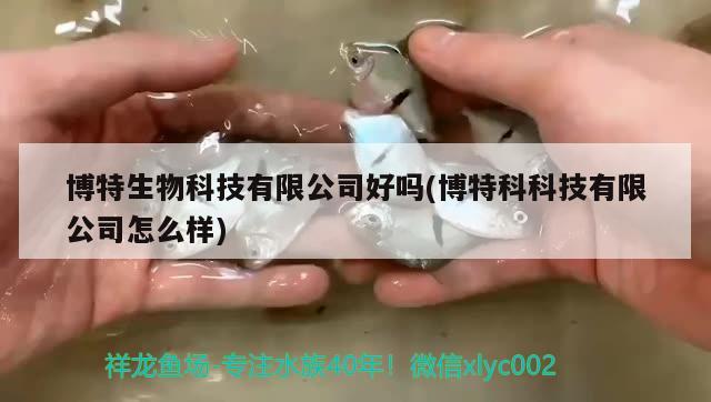 博特生物科技有限公司好吗(博特科科技有限公司怎么样)