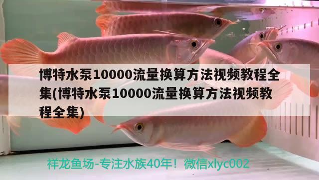 博特水泵10000流量换算方法视频教程全集(博特水泵10000流量换算方法视频教程全集) 博特水族