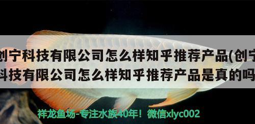 创宁科技有限公司怎么样知乎推荐产品(创宁科技有限公司怎么样知乎推荐产品是真的吗) 创宁水族