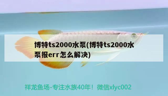 博特ts2000水泵(博特ts2000水泵报err怎么解决)