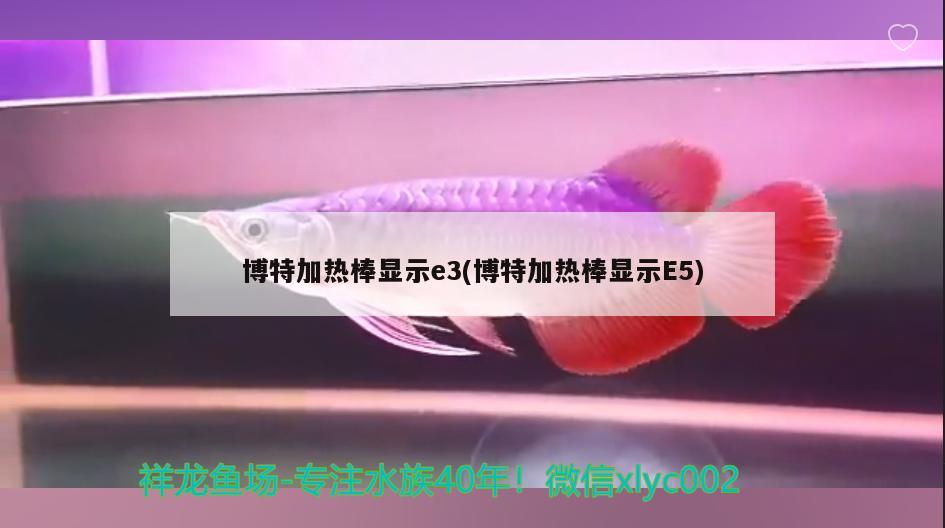 博特加热棒显示e3(博特加热棒显示E5) 博特水族