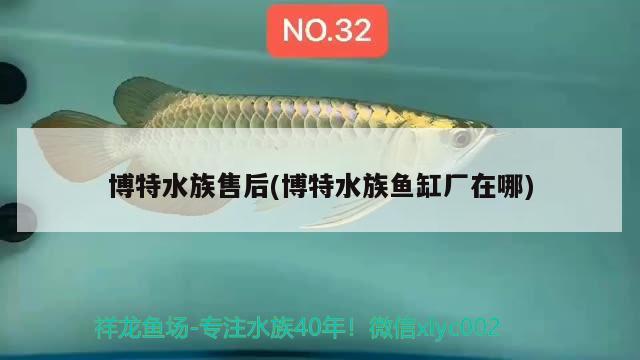 博特水族售后(博特水族鱼缸厂在哪)