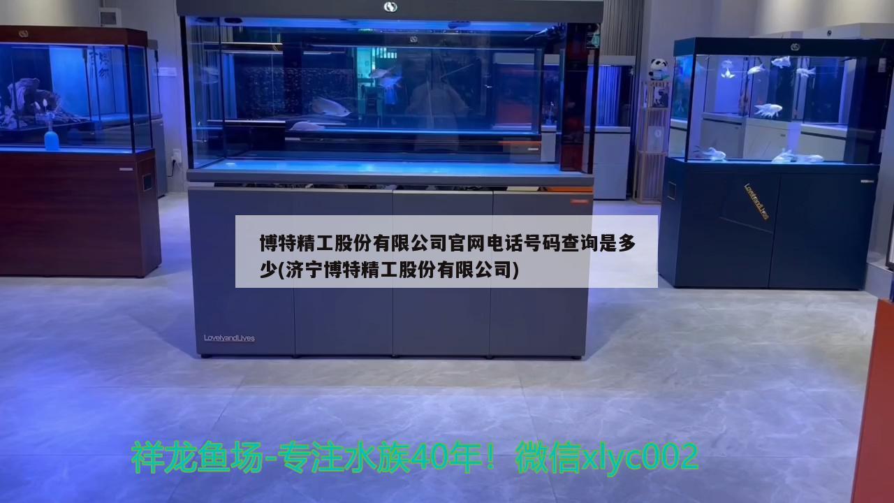 博特精工股份有限公司官网电话号码查询是多少(济宁博特精工股份有限公司)