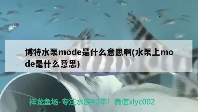 博特水泵mode是什么意思啊(水泵上mode是什么意思) 博特水族