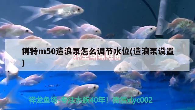 博特m50造浪泵怎么调节水位(造浪泵设置)