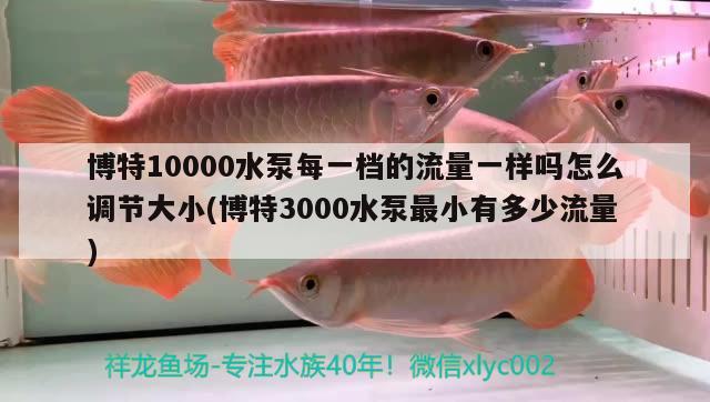 博特10000水泵每一档的流量一样吗怎么调节大小(博特3000水泵最小有多少流量)