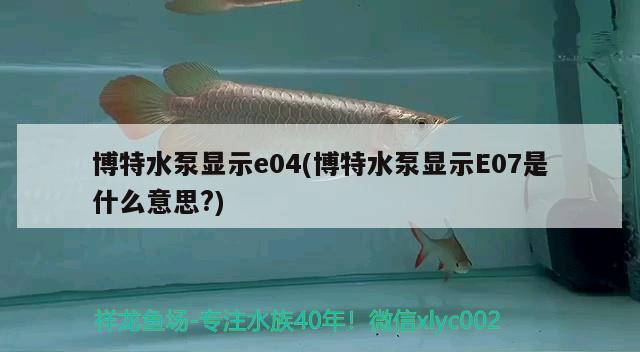 博特水泵显示e04(博特水泵显示E07是什么意思?)