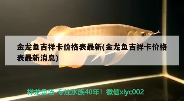 金龙鱼吉祥卡价格表最新(金龙鱼吉祥卡价格表最新消息)