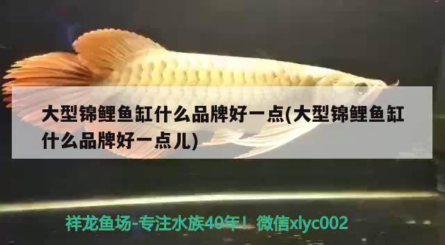 大型锦鲤鱼缸什么品牌好一点(大型锦鲤鱼缸什么品牌好一点儿) 巴卡雷龙鱼