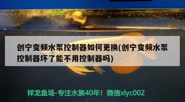 创宁变频水泵控制器如何更换(创宁变频水泵控制器坏了能不用控制器吗)