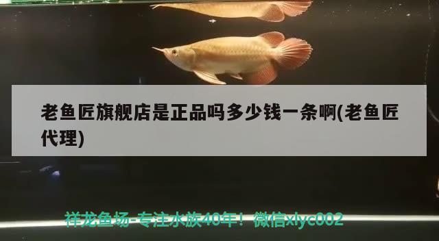 老鱼匠旗舰店是正品吗多少钱一条啊(老鱼匠代理) 老鱼匠