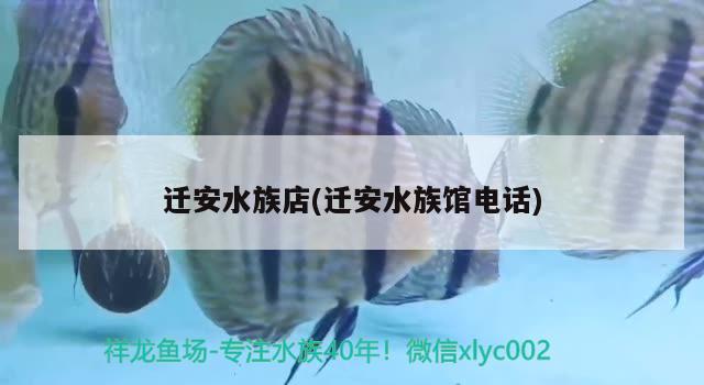 迁安水族店(迁安水族馆电话)