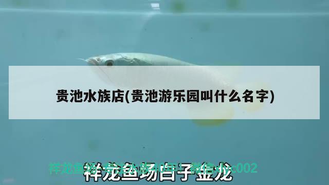 贵池水族店(贵池游乐园叫什么名字) 水温计