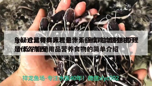 鱼缸过滤材料原理是什么(鱼缸过滤材料原理是什么东西)