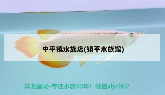 中平镇水族店(镇平水族馆) 热带鱼鱼苗批发