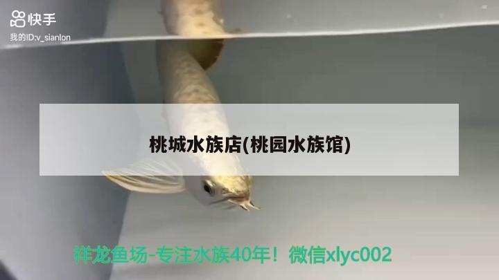 桃城水族店(桃园水族馆) 蓝帆三间鱼 第1张