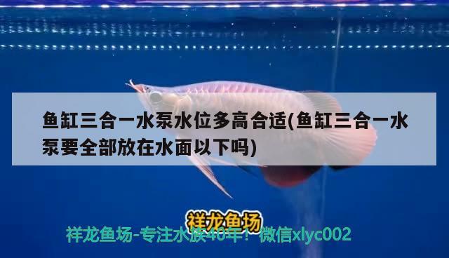 鱼缸三合一水泵水位多高合适(鱼缸三合一水泵要全部放在水面以下吗)