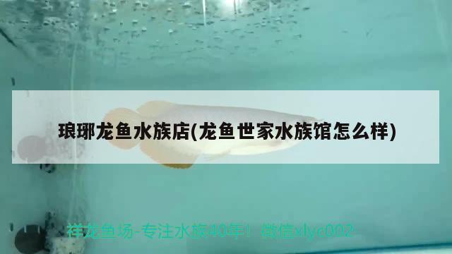 琅琊龙鱼水族店(龙鱼世家水族馆怎么样)