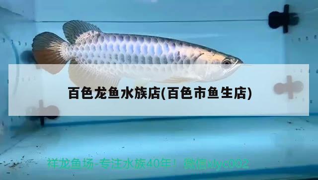 百色龙鱼水族店(百色市鱼生店) 黑影道人鱼 第1张