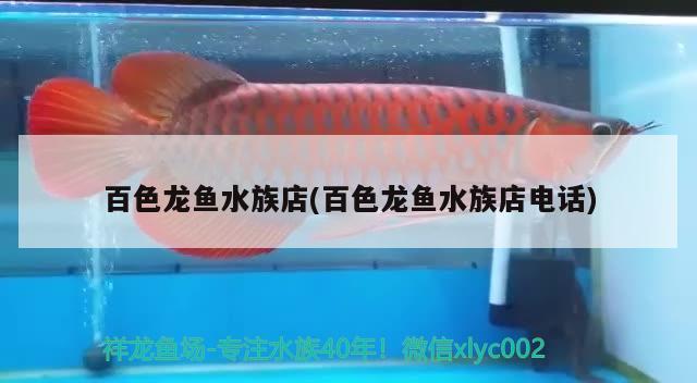 百色龙鱼水族店(百色龙鱼水族店电话) 粗线银版鱼