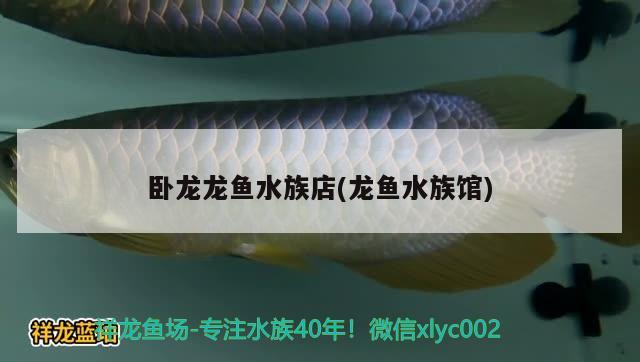 卧龙龙鱼水族店(龙鱼水族馆) 观赏鱼批发