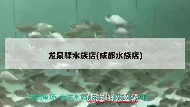 龙泉驿水族店(成都水族店) 罗汉鱼