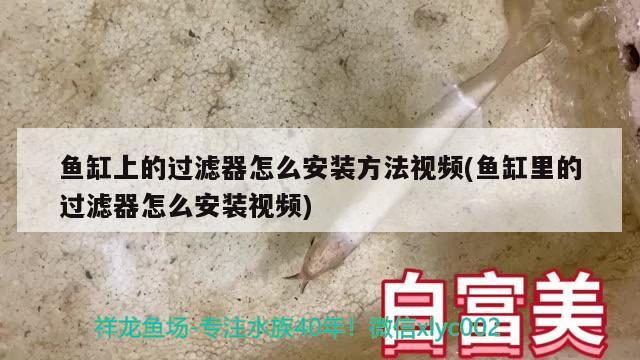 鱼缸上的过滤器怎么安装方法视频(鱼缸里的过滤器怎么安装视频) 潜水泵