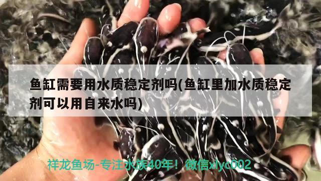 鱼缸需要用水质稳定剂吗(鱼缸里加水质稳定剂可以用自来水吗)