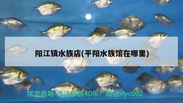 阳江镇水族店(平阳水族馆在哪里) 水族灯（鱼缸灯）