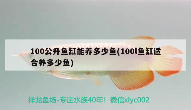 100公升鱼缸能养多少鱼(100l鱼缸适合养多少鱼)