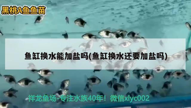 鱼缸换水能加盐吗(鱼缸换水还要加盐吗) 水族杂谈