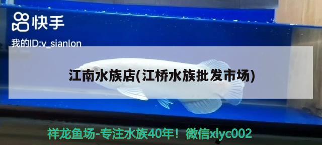 江南水族店(江桥水族批发市场) 观赏鱼水族批发市场