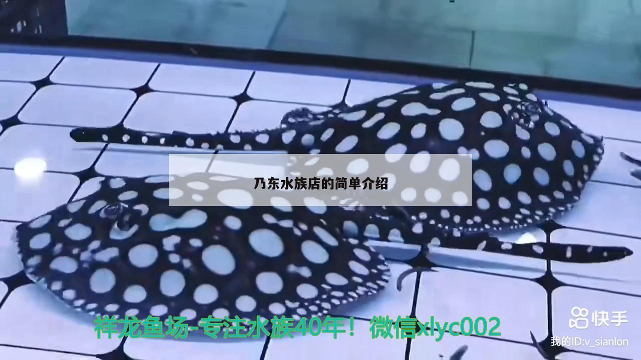 乃东水族店的简单介绍 黄金眼镜蛇雷龙鱼