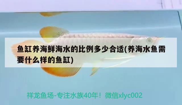 鱼缸养海鲜海水的比例多少合适(养海水鱼需要什么样的鱼缸)