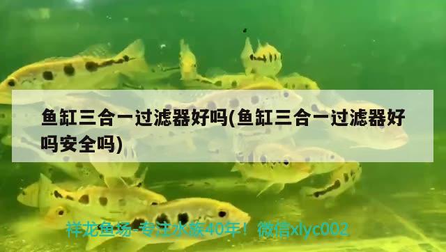 鱼缸三合一过滤器好吗(鱼缸三合一过滤器好吗安全吗) 祥龙水族护理水