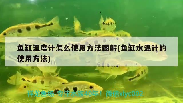 鱼缸温度计怎么使用方法图解(鱼缸水温计的使用方法)